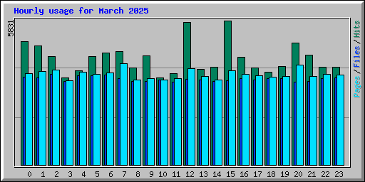 Hourly usage for March 2025