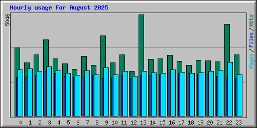 Hourly usage for August 2025